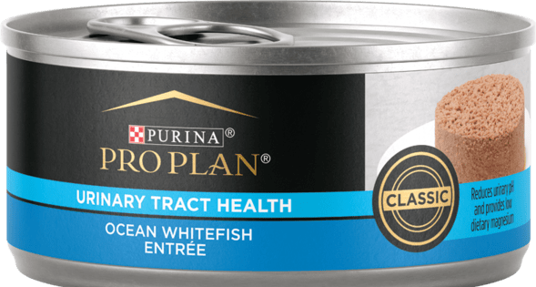 Purina Pro Plan Urinary Tract Health Formula Ocean Whitefish Entrée